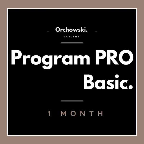 PROGRAM PRO BASIC.